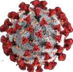 coronavirus icon
